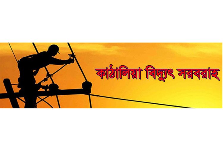 কাঠালিয়ায় আগামী শনিবার বিদ্যুৎ সরবরাহ বন্ধ থাকবে