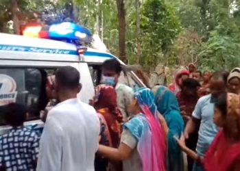 কাঠালিয়ায় সাপের কামড়ে নারীর মৃত্যু