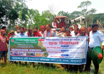 ঝালকাঠিতে বোরো আবাদের বাম্পার ফলন, সমলয় ব্লকে ধান কর্তন