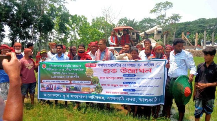 ঝালকাঠিতে বোরো আবাদের বাম্পার ফলন, সমলয় ব্লকে ধান কর্তন