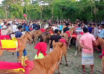 কাঠালিয়ায় গ্রামীণ ঐতিহ্যবাহী ঘোড় দৌড় অনুষ্ঠিত