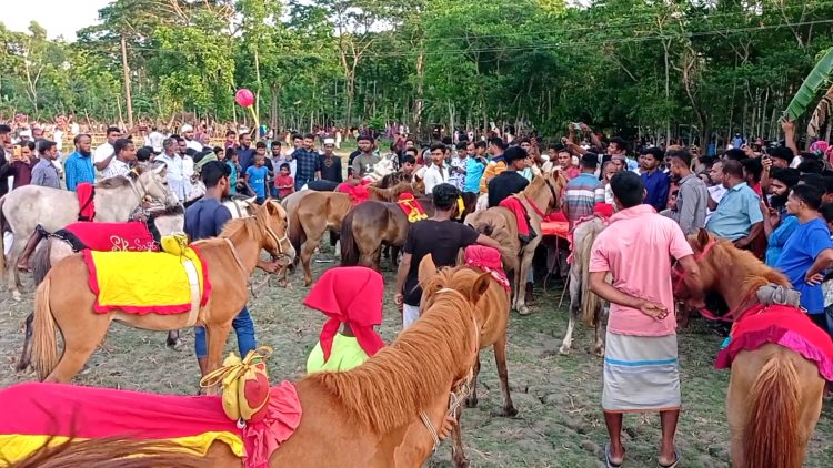 কাঠালিয়ায় গ্রামীণ ঐতিহ্যবাহী ঘোড় দৌড় অনুষ্ঠিত