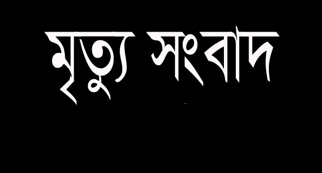 বামনায় সড়ক দুর্ঘটনায় এক নারীর মৃত্যু