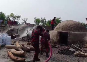 কাঠালিয়ায় কাঠ পুড়িয়ে কয়লা তৈরির অবৈধ ২৩টি চুল্লি গুড়িয়ে দিলেন ভ্রম্যমান আদালত