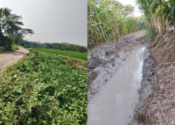 ঝালকাঠির নথুল্লাবাদে খাল খনন বীরকাঠি ও সাবাঙ্গল গ্রামের কৃষকদের মধ্যে ব্যাপক উৎসাহ সৃষ্টি