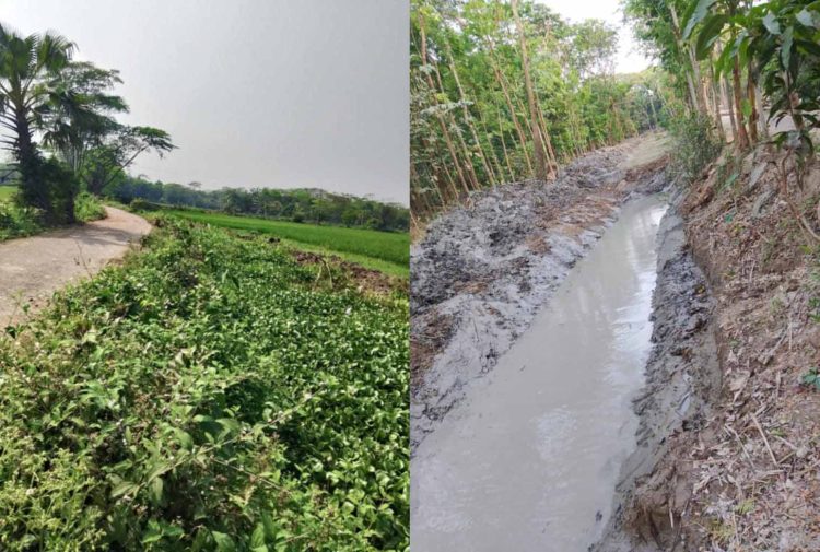 ঝালকাঠির নথুল্লাবাদে খাল খনন বীরকাঠি ও সাবাঙ্গল গ্রামের কৃষকদের মধ্যে ব্যাপক উৎসাহ সৃষ্টি