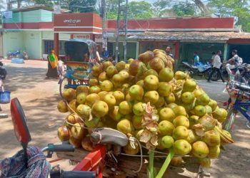 ঝালকাঠিতে প্রচন্ড তাপদাহ, স্বস্তি দিতে বাজারে পানি তাল