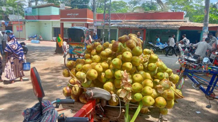 ঝালকাঠিতে প্রচন্ড তাপদাহ, স্বস্তি দিতে বাজারে পানি তাল