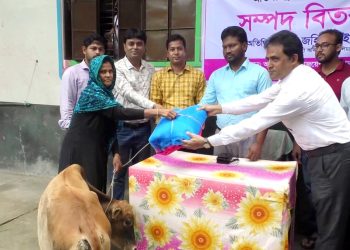 কাঠালিয়ায় হতদরিদ্রদের মাঝে গরু ও গাছের চারা বিতরণ