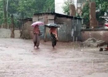 ঝালকাঠিতে আষাঢ়েরর প্রথম দিন থেকেই টিপ টিপ বৃষ্টি শুরু