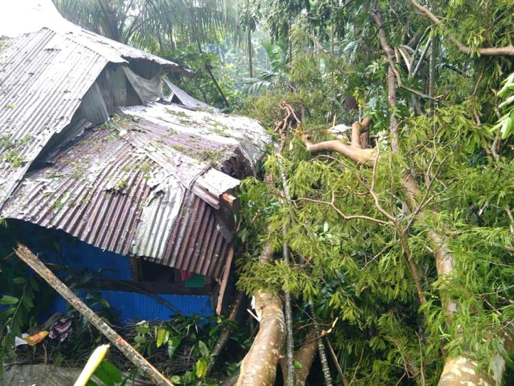 কাঁঠালিয়ায় কালবৈশাখী ঝড়ে  গাছ উপড়ে ও ভেঙ্গে বসতঘর ও দোকান বিধ্বস্ত,  বিদ্যুৎ সংযোগ বিচ্ছিন্ন