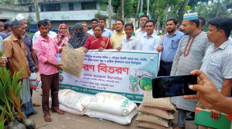 ঝালকাঠিতে কৃষি প্রনোদনা খরিপ মৌসুমে রোপা আমন চাষের বরাদ্দ দিয়েছে কৃষি বিভাগ