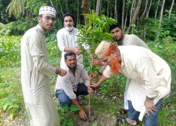 নলছিটিতে ইসলামী ছাত্র আন্দোলনের বৃক্ষরোপণ কর্মসূচি