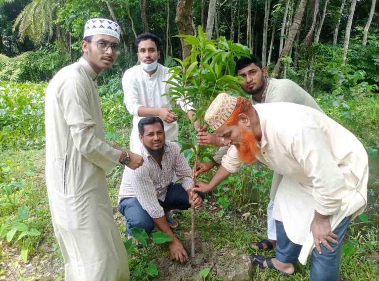 নলছিটিতে ইসলামী ছাত্র আন্দোলনের বৃক্ষরোপণ কর্মসূচি