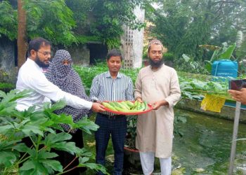 ঝালকাঠির উপজেলা কৃষি বিভাগের প্রশিক্ষণ কেন্দ্রের ছাদ কৃষি বাগান করেছে