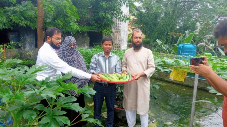 ঝালকাঠির উপজেলা কৃষি বিভাগের প্রশিক্ষণ কেন্দ্রের ছাদ কৃষি বাগান করেছে