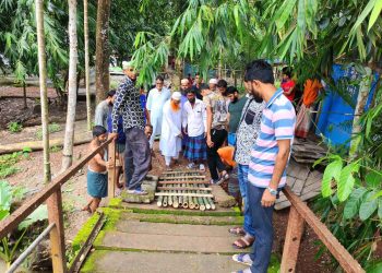 কাঠালিয়ায় ক্ষুব্ধ এলাকাবাসীর স্বেচ্ছাশ্রমে ঝুঁকিপূর্ন আউরা খালের ব্রিজ মেরামত