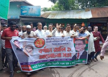 নলছিটিতে বিএনপির বিজয় র‌্যালী ওআলোচনা সভা