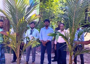 জলবায়ু পরিবর্তনের ঝুঁকি কমাতে ঝালকাঠির কাঠালিয়ায় পুবালী ব্যাংকের বৃক্ষ রোপণ