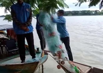 ঝালকাঠির সুগন্ধা ও বিষখালী নদীতে ইলিশ শিকারের দায়ে ৭ জেলের কারাদন্ড