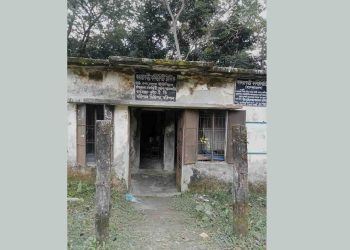 ঝালকাঠির কমিউনিটি ক্লিনিকে একসঙ্গে সাত সাপ! আতঙ্কে স্বাস্থ্যকর্মীরা