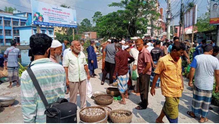 ঝালকাঠিতে পৌরসভার উদ্যোগে কৃষি পণ্য ও বৈকালিক শাক-সবজির বাজার চালু