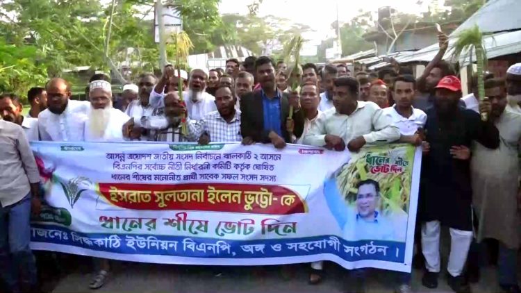 ঝালকাঠিতে বিএনপির প্রার্থী ইলেন ভূট্টোর সমর্থনে ২০ ইউনিয়নে একযোগে ধানের শীষের গণমিছিল