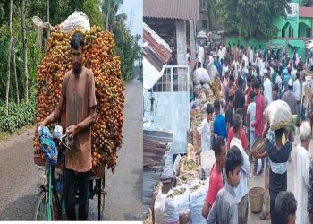 ঝালকাঠির সুপারীর হাট-বাজার জমজমাট বেচাকেনা