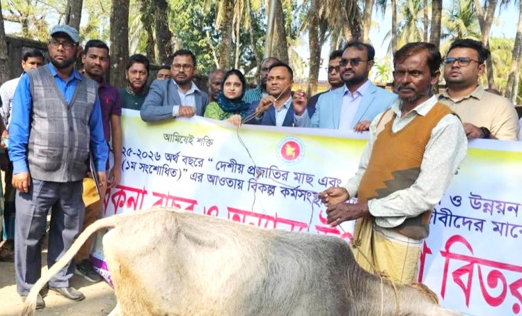 কাঠালিয়ায় বিকল্প কর্মসংস্থান সৃষ্টির লক্ষ্যে মৎস্যজীবীদের মাঝে বকনা বাছুর বিতরণ