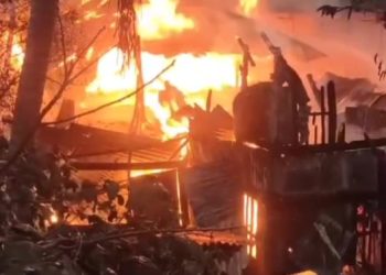 কাঠালিয়ায় অগ্নিকাণ্ডে দুইটি বসতঘর পুড়ে ৫ লাখ টাকার ক্ষতি