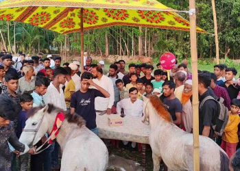 কাঠালিয়ায় ঐতিহ্যবাহী ঘোরদৌঁড় প্রতিযোগিতা অনুষ্ঠিত