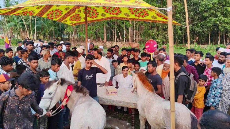 কাঠালিয়ায় ঐতিহ্যবাহী ঘোরদৌঁড় প্রতিযোগিতা অনুষ্ঠিত