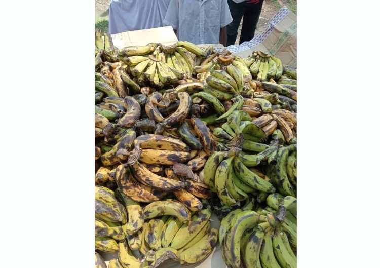 পুষ্টিকর খাবারের নামে শিক্ষার্থীদের দেওয়া হচ্ছে নষ্ট কলা