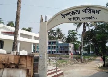 দুই মাস ধরে নেই ইউএনও, অতিরিক্ত কর্মকর্তা দিয়ে চলছে নলছিটি উপজেলা
