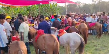 কাঠালিয়ায় বৈশাখ উপলক্ষে ঐতিহ্যবাহী ঘোড়দৌঁড়
