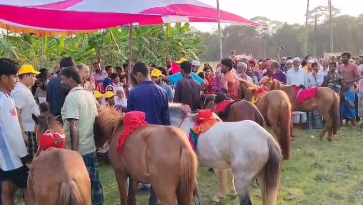 কাঠালিয়ায় বৈশাখ উপলক্ষে ঐতিহ্যবাহী ঘোড়দৌঁড়