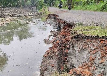 রাজাপুরে অপরিকল্পিত খাল খননে সড়কে ধস