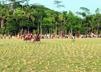 কাঠালিয়ায় ঐতিহ্যবাহী ঘোড়দৌঁড়