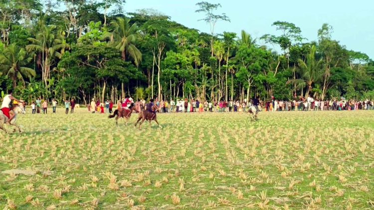 কাঠালিয়ায় ঐতিহ্যবাহী ঘোড়দৌঁড়