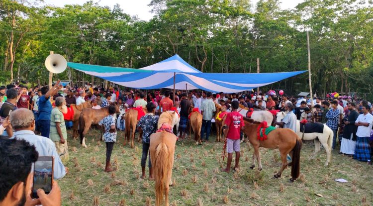 কাঠালিয়ার কচুয়ায় ঐতিহ্যবাহী ঘোড়দৌঁড় প্রতিযোগিতা