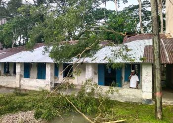 কালবৈশাখীতে রাজাপুরে বিদ্যালয়ের দুই শ্রেণিকক্ষ ক্ষতিগ্রস্ত, পাঠদান ব্যাহত হওয়ার শঙ্কা