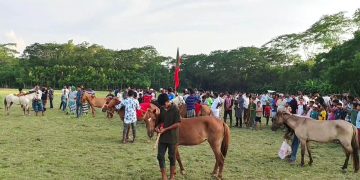 কাঠালিয়ায় ঈদুল আজহা উপলক্ষে ঐতিহ্যবাহী ঘোড়দৌঁড় অনুষ্ঠিত