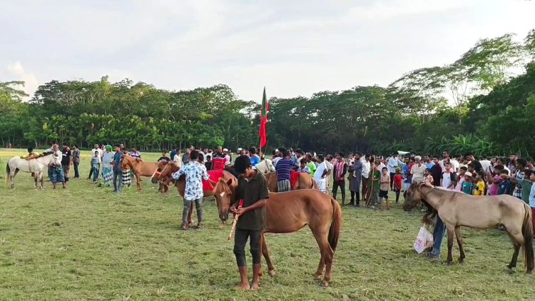কাঠালিয়ায় ঈদুল আজহা উপলক্ষে ঐতিহ্যবাহী ঘোড়দৌঁড় অনুষ্ঠিত