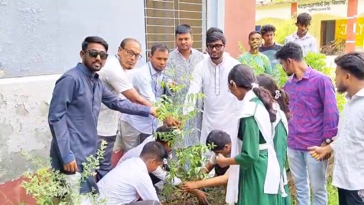 রাজাপুরে শিক্ষা প্রতিষ্ঠানে ছাত্রদলের বৃক্ষরোপণ কর্মসূচি