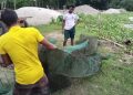 মৎস্য সুরক্ষায় ঝালকাঠিতে যৌথ অভিযানে জব্দ ২২ হাজার মিটার অবৈধ জাল