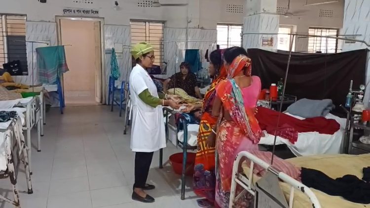 ঝালকাঠিতে ডেঙ্গু পরিস্থিতির উন্নতি নেই, বাড়ছে নতুন রোগী