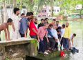 কাঠালিয়ায় বিভিন্ন প্রজাতির মাছের পোনা অবমুক্ত