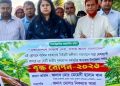 বামনায় সরকারের ২৫ কোটি বৃক্ষরোপণ কর্মসূচি উদ্বোধন