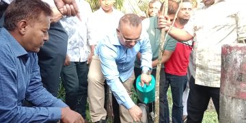 ঝালকাঠিতে সড়কে ১৬ হাজার বৃক্ষরোপণ কর্মসূচির উদ্বোধন
