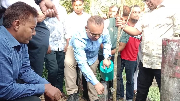 ঝালকাঠিতে সড়কে ১৬ হাজার বৃক্ষরোপণ কর্মসূচির উদ্বোধন
